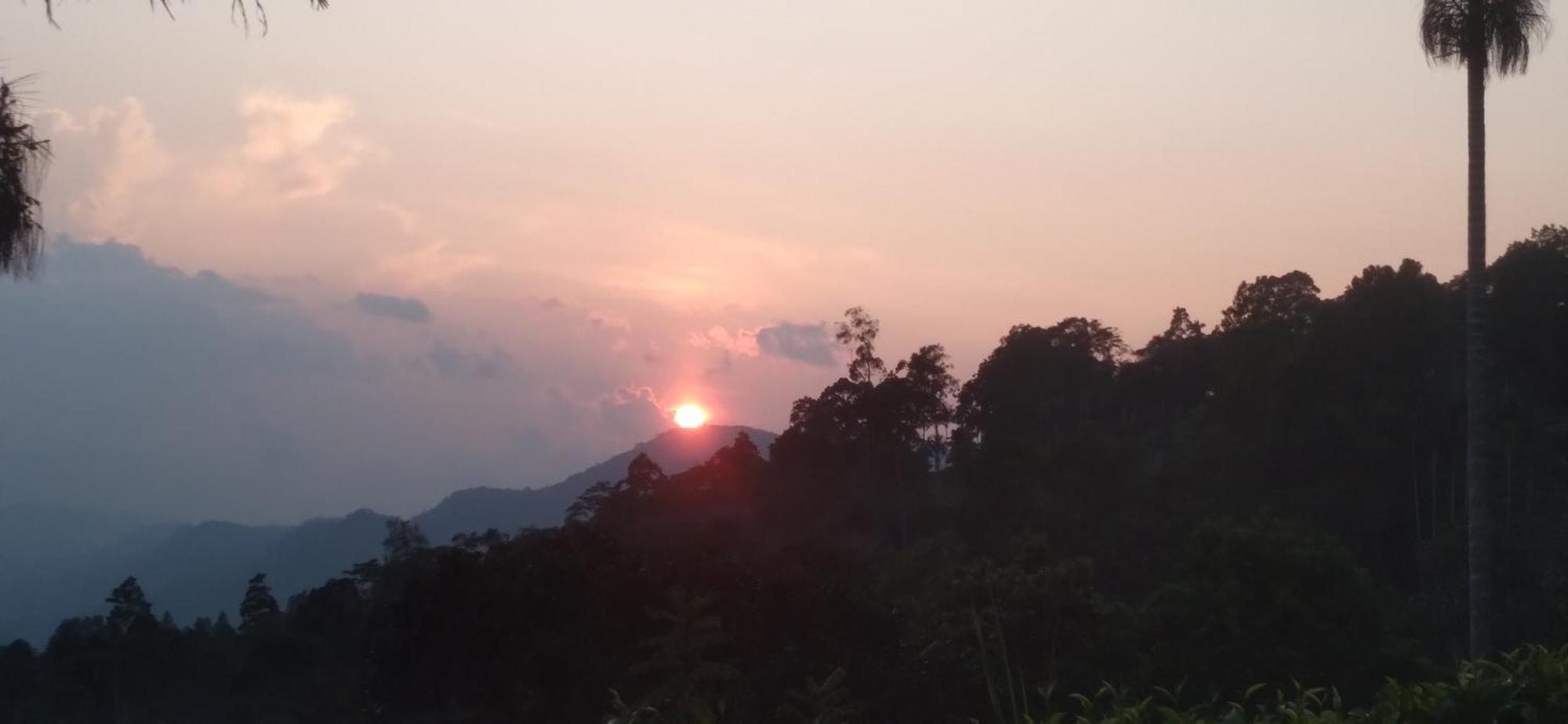 Sinharaja Kurulu Ella Eco Resort Deniyaya Ngoại thất bức ảnh